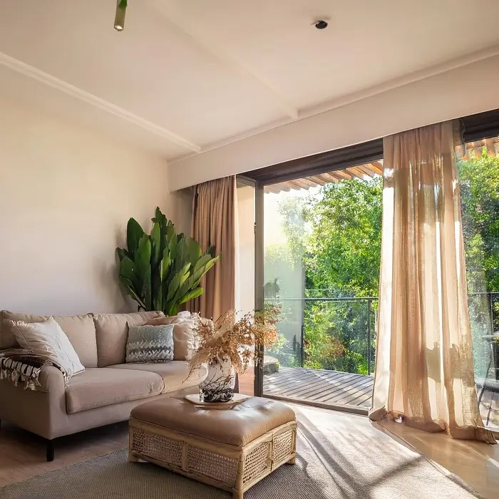 Linen Curtains