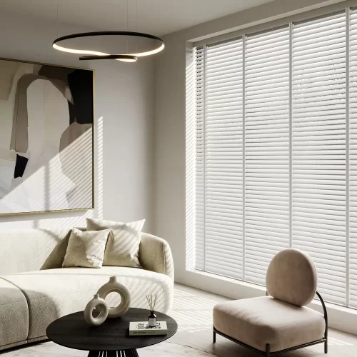Duplex Blinds