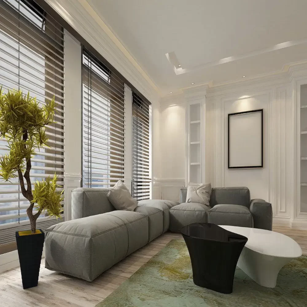 Living Room Blinds
