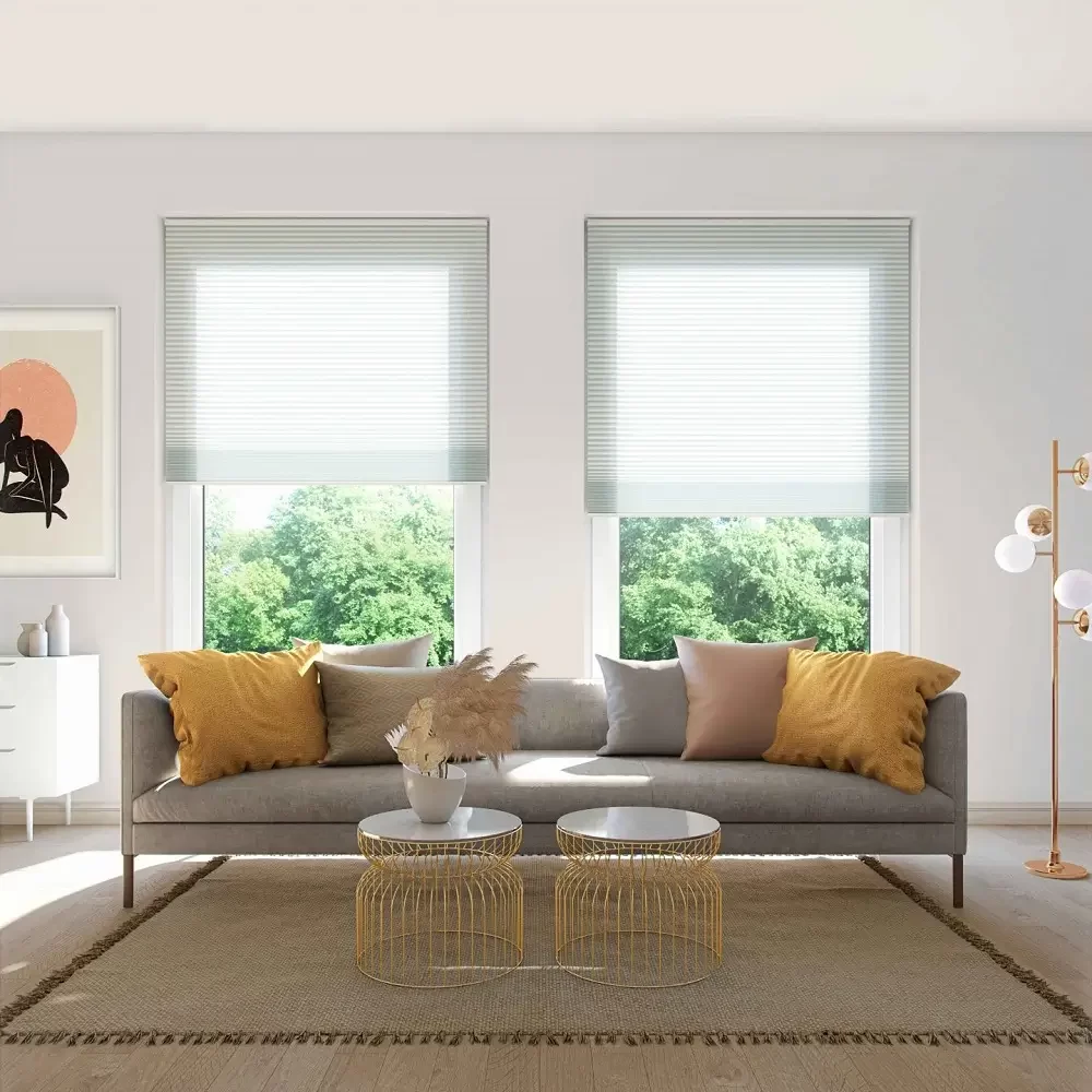 Pleated Blinds