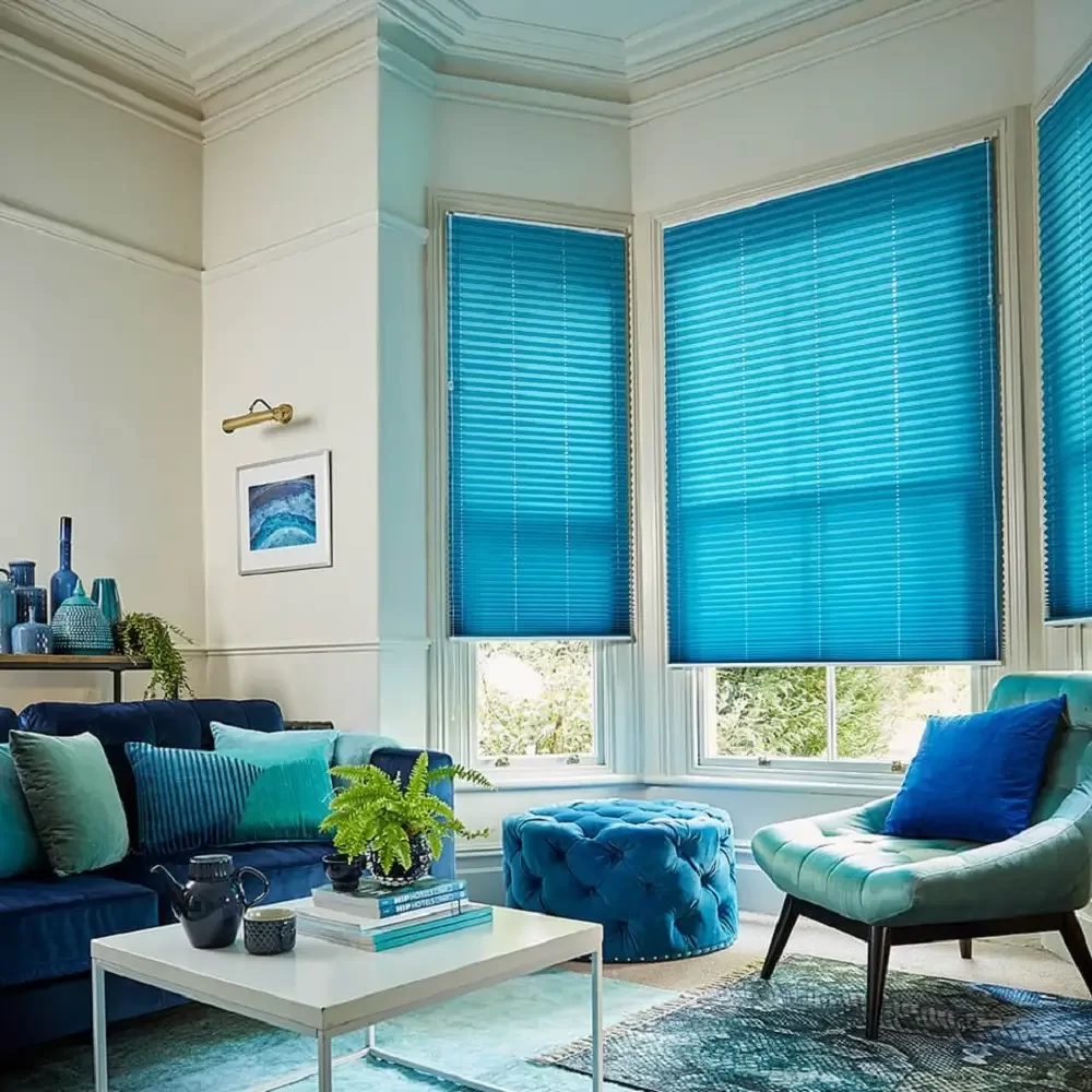 Pleated Blinds