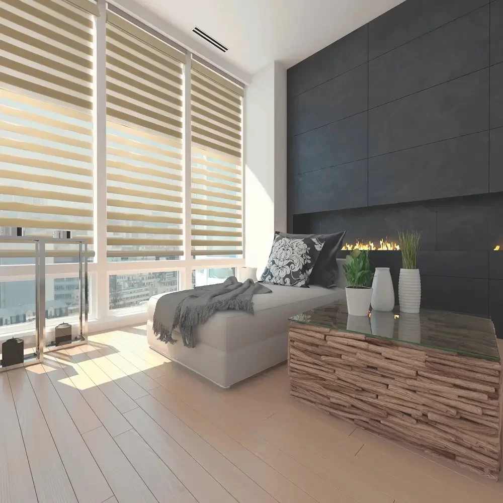 Zebra Blinds