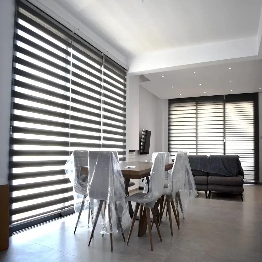 Zebra Blinds